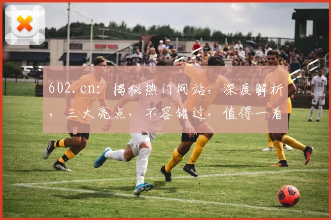 602.cn：揭秘热门网站，深度解析，三大亮点，不容错过，值得一看