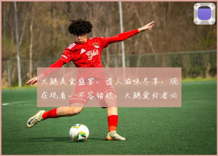 火腿美食盛宴，诱人滋味尽享，现在观看，不容错过，火腿爱好者必看