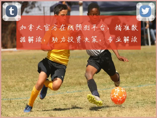 加拿大官方在线预测平台，精准数据解读，助力投资决策，专业解读，必看攻略