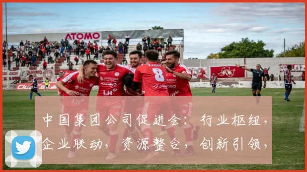 中国集团公司促进会：行业枢纽，企业联动，资源整合，创新引领，服务发展