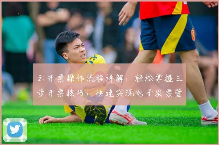 云开票操作流程详解，轻松掌握三步开票技巧，快速实现电子发票管理