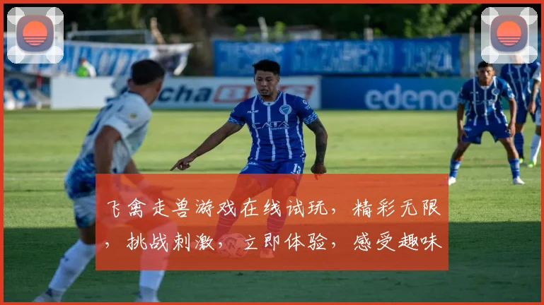 飞禽走兽游戏在线试玩，精彩无限，挑战刺激，立即体验，感受趣味游戏逗趣瞬间